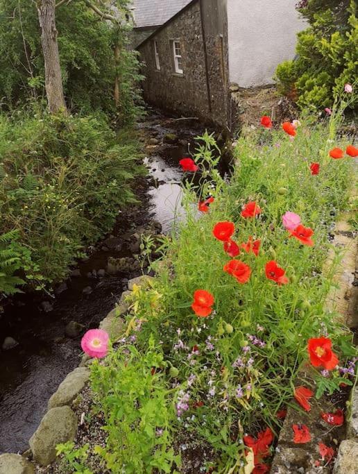 Ballyclare Riverside Cottage At Logwood Mill מראה חיצוני תמונה