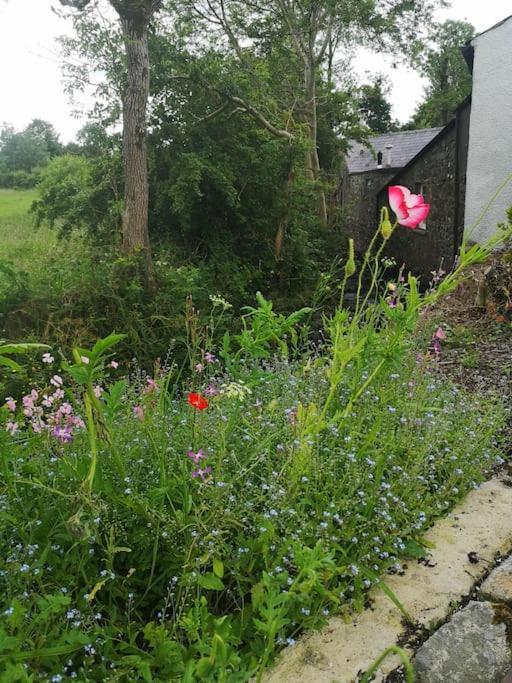 Ballyclare Riverside Cottage At Logwood Mill מראה חיצוני תמונה