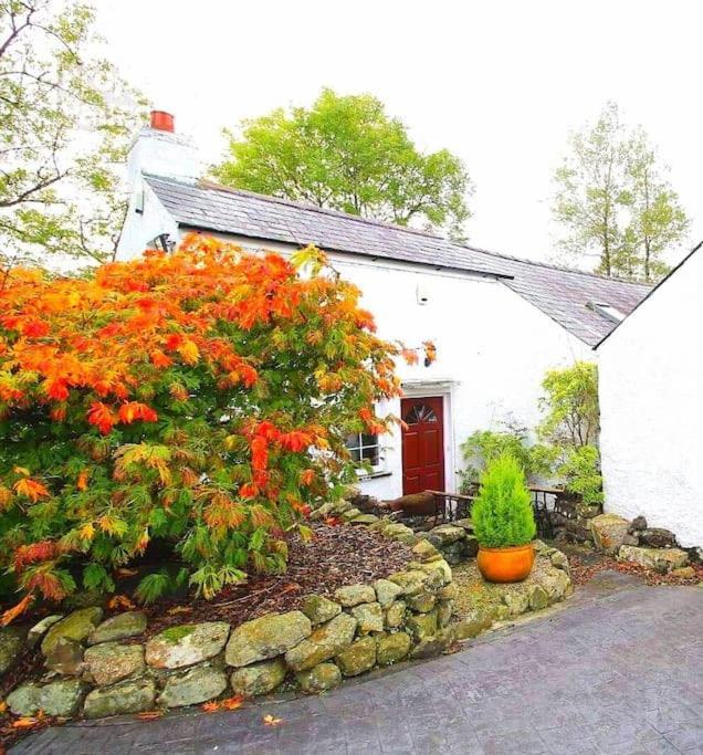 Ballyclare Riverside Cottage At Logwood Mill מראה חיצוני תמונה