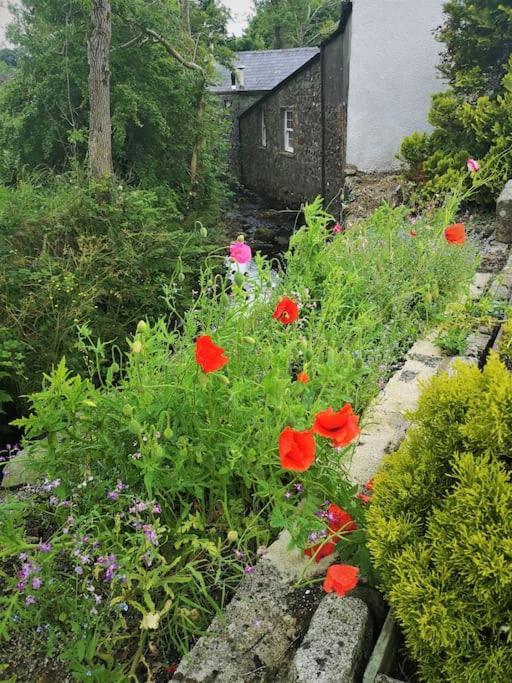 Ballyclare Riverside Cottage At Logwood Mill מראה חיצוני תמונה