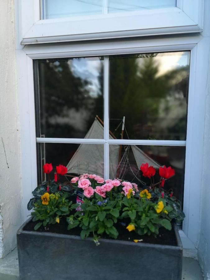 Ballyclare Riverside Cottage At Logwood Mill מראה חיצוני תמונה